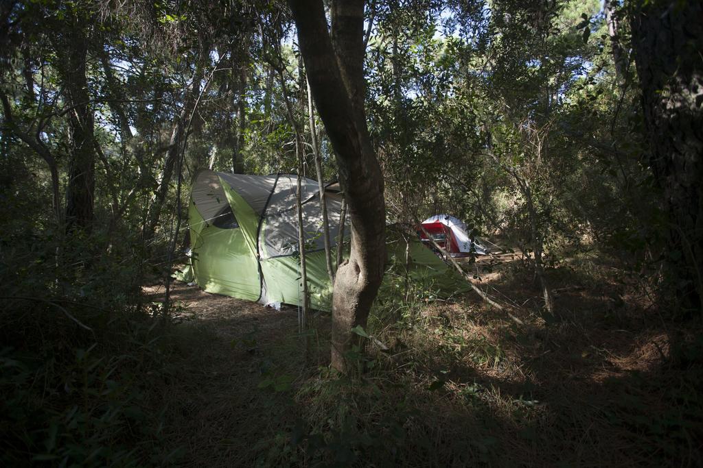 蓬塔拉营地和蓬塔阿拉