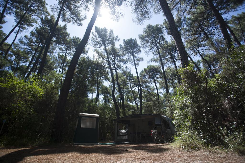 Puntala Camp & Punta Ala