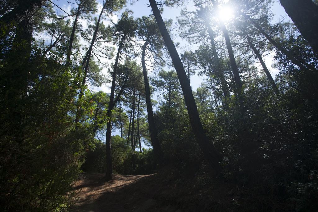 Puntala Camp & 4*